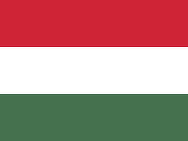 Umzug Steiermark Ungarn