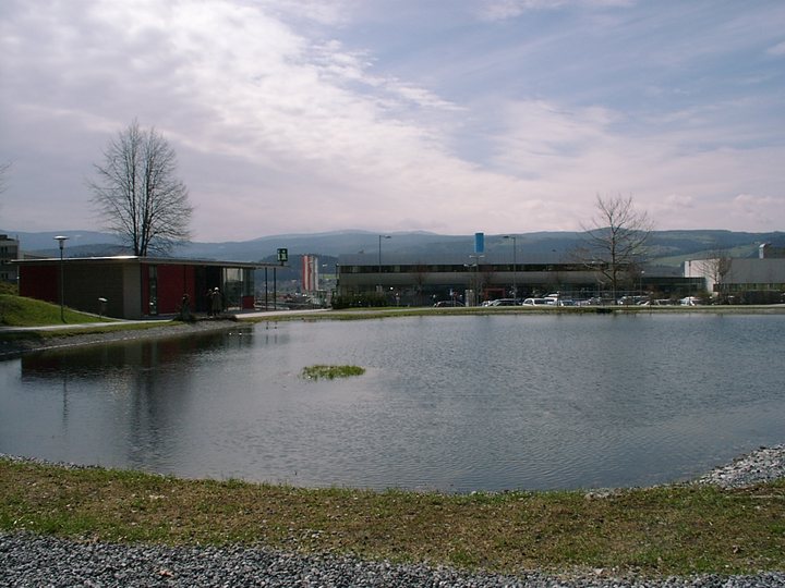 Umzug Köflach